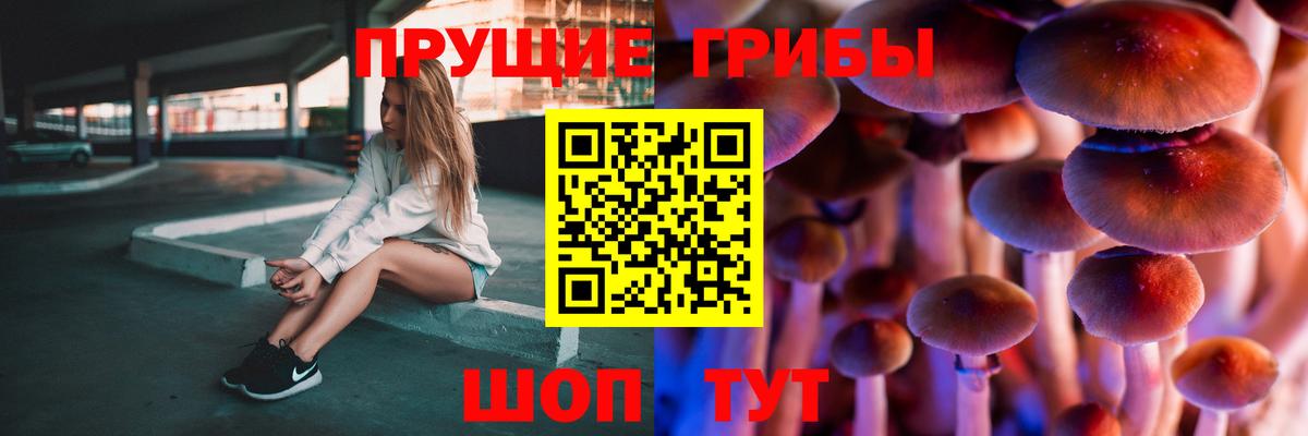 Реж  Псилоцибиновые грибы MAGIC MUSHROOMS  Вход с VPN  Псилоцибиновые грибы прущие грибы 