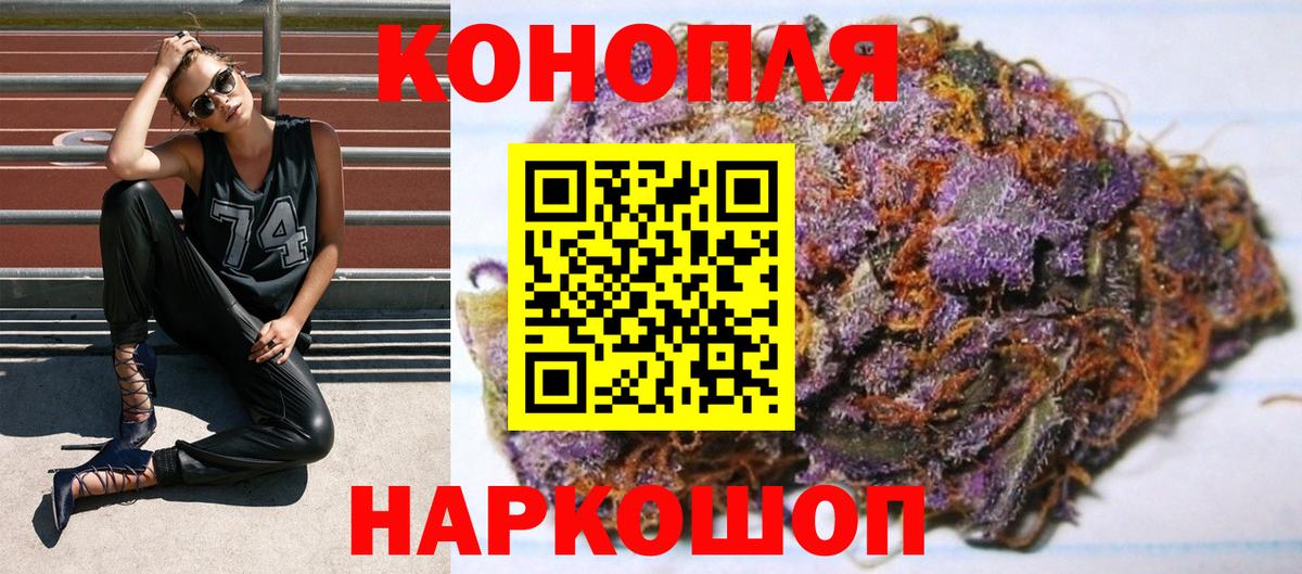 Бошки марихуана семена  МАРИХУАНА сатива  Каннабис конопля  Вход с VPN  Каннабис марихуана  Реж 